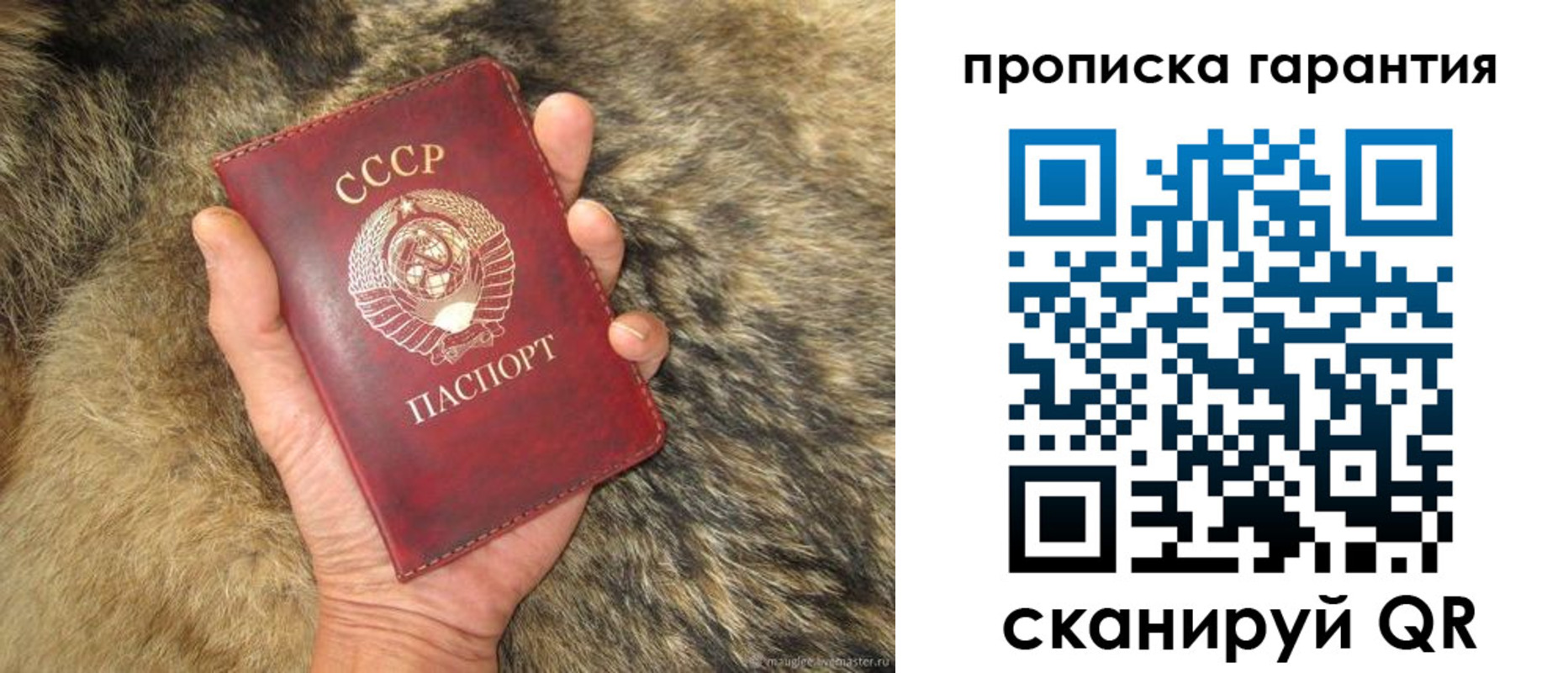 прописка паспорт в Новозыбкове